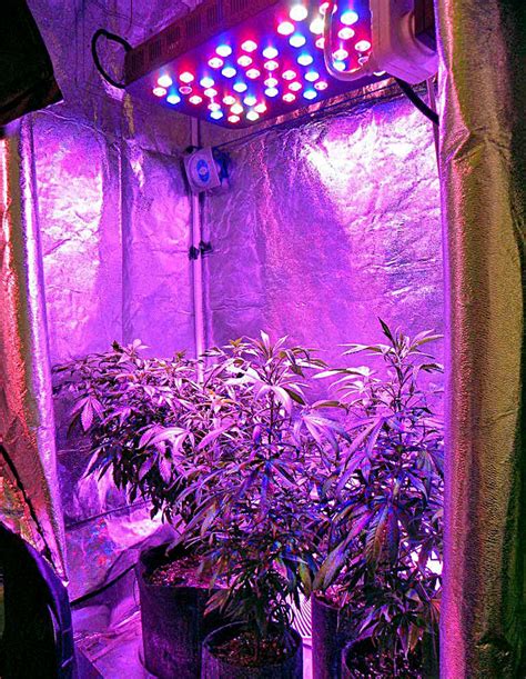 The Best Grow Tents With Lights In 2023 Grown