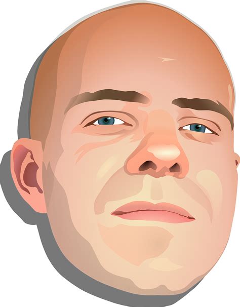 Download Bald Head Man Bald Patch Royalty Free Vector Graphic Pixabay
