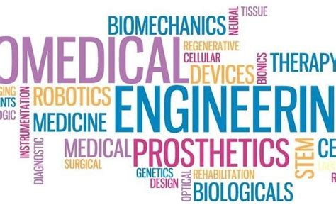 Career Prospects As A Biomedical Engineer Leverage Edu