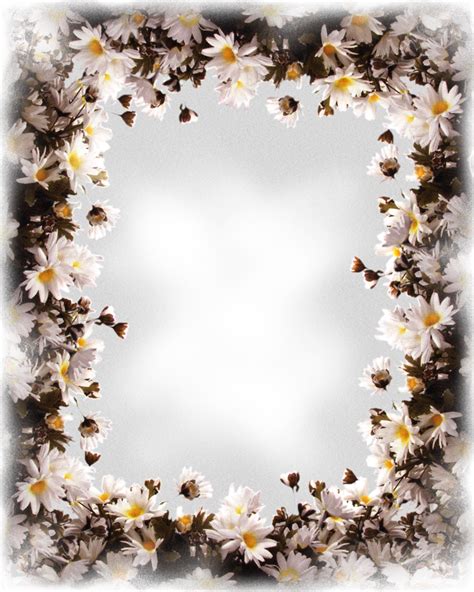 Forgetmenot Daisies Frames