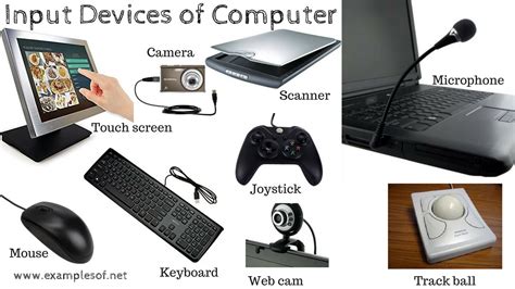 10 Examples of Input Devices of Computer gambar png