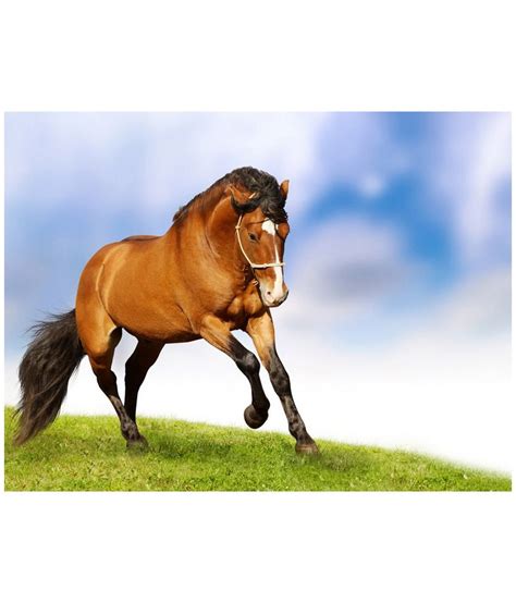 Well trained has been packed in the mountains. KKC Multicolor Animals Horses Horse Natural Grace Poster ...
