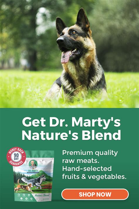 Pet owners are often recommended dog food supplements that contain extra vitamins, minerals and biotin to boost the dog's coat. Get Dr. Marty's Nature's Blend in 2020 | Dog food recipes ...