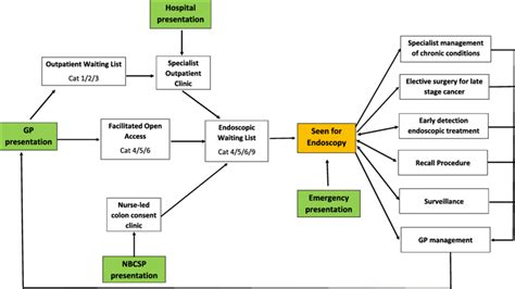 Flow Chart Describing Major Patient Pathways Through A Simulation Of