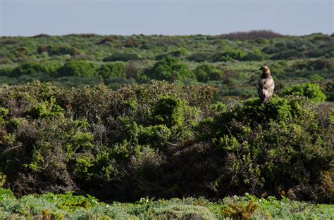 Western Cape Nature Mario Mairal