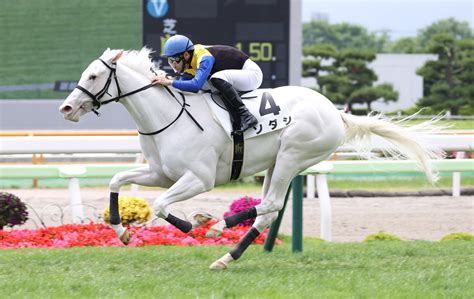 Manage your video collection and share your thoughts. ニュース一覧 - ドコモ「spモード」版 日刊スポーツ競馬