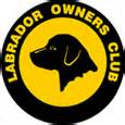 Samadam Registered Labrador Retrievers - CKC Registered ...