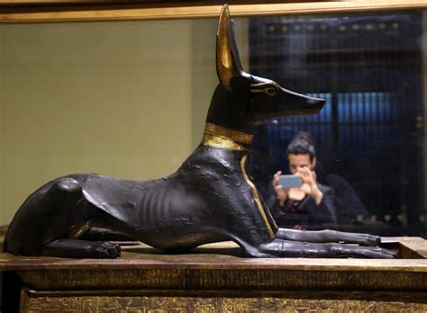 egyptian museum displays unseen king tut artifacts