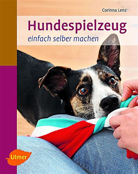 Cake pops eignen sich perfekt für die nächste party. Hundespielzeug einfach selber machen Buch bestellen ...