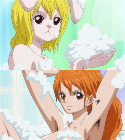 Carrot Nami Anime Arte Com Personagens Anime Meninas