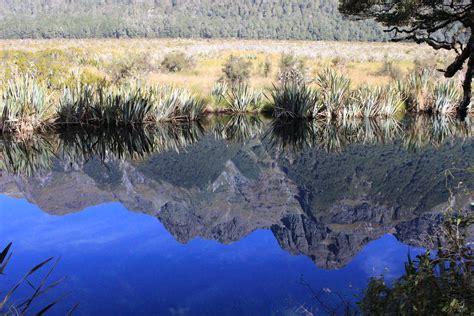 Relection On The Mirror Lake Fiordland National Park Sou Flickr