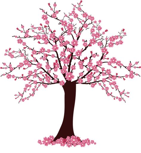 Download Cherry Blossom Tree Clip Art - Árvore De Cerejeira Desenho gambar png