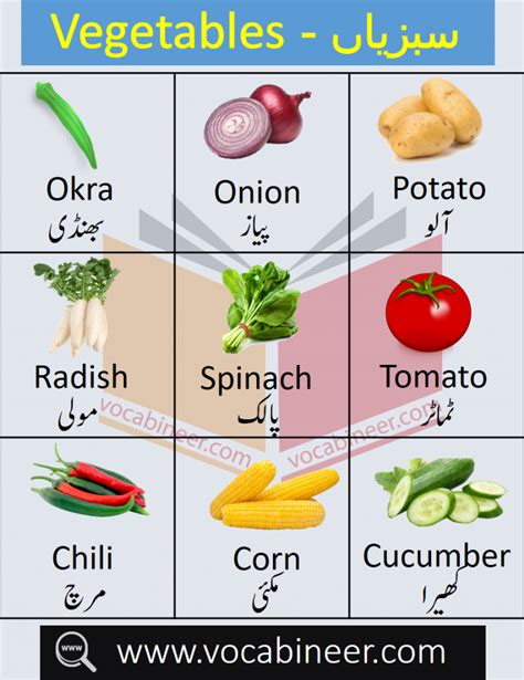 Vegetables Name In Urdu And English With Pictures Vegetables Names With