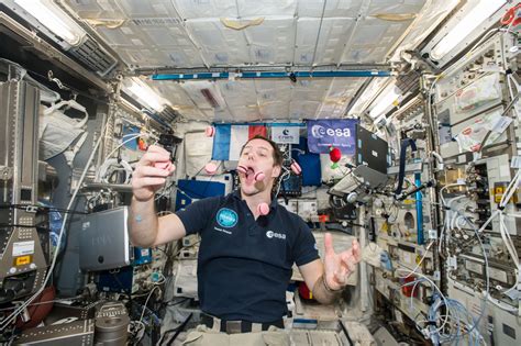 Comment Vivent Les Astronautes Dans Lespace Curionautes Des Sciences