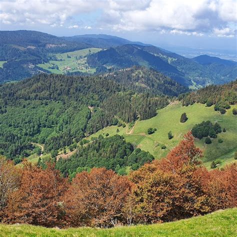 Top 25 Things To Do In Black Forest Germany Your Ultimate Travel