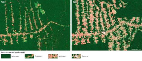 Site de notícias de rondônia e região. Diercke Weltatlas - Kartenansicht - Rondônia (Brasilien ...