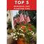 Top 5 Memorial Day Planting Tips  Gardening Know Hows Blog