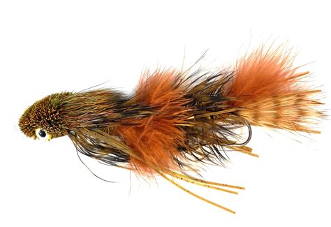 Galloup S Sex Dungeon Craw Orange North Park Anglers