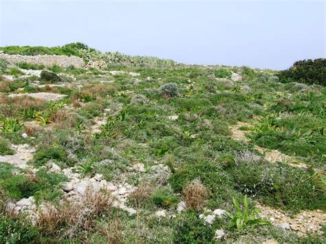 Terrestrial habitat may refer to: Terrestrial Habitats - ERA