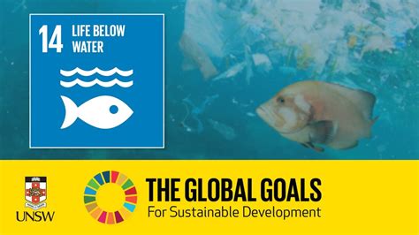 Sustainable Development Goal 14 Life Below Water Tracey Rogers