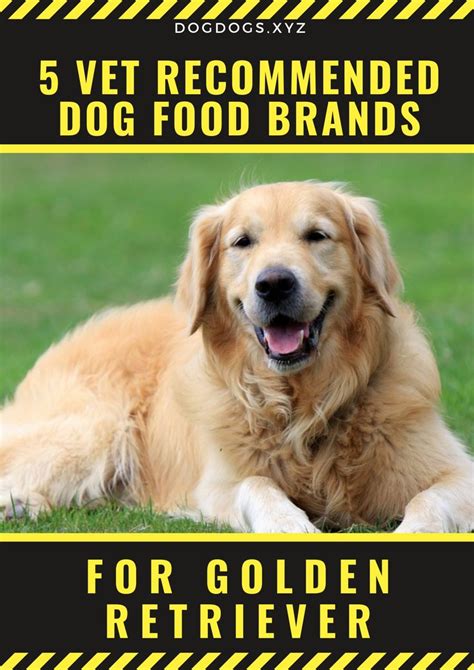 Which Dog Food Is Best For Golden Retrievers