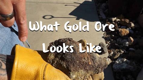 What Gold Ore Looks Like Mining 101 Gold Rush Expeditions Youtube