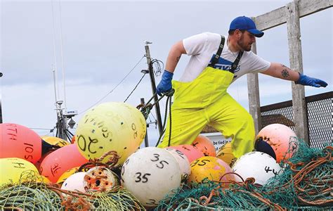Navigator Magazine Lobster Season Ends In Southwest Nova