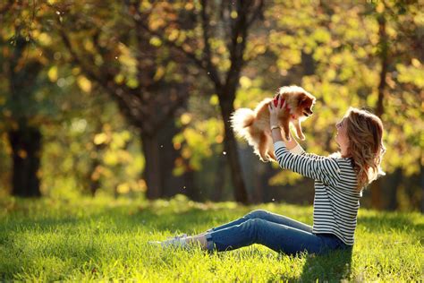 Cómo Jugar Con Un Perro De Raza Pequeña Consejos Miscota