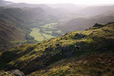 Best Places To Stay In The Lake District 2024 By Region Map