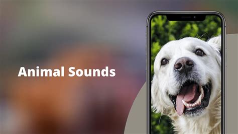 Animal Sounds Real Animal Sounds And Ringtones For Android Apk Download
