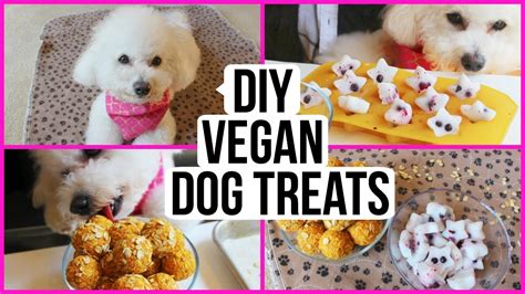 Diy Vegan Dog Treats No Bake Healthy And Easy Youtube