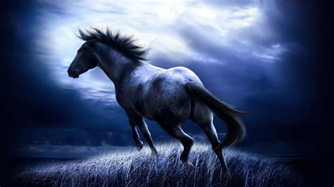 Download Wallpaper For 1920x1080 Resolution Nature Horse Animals Hd