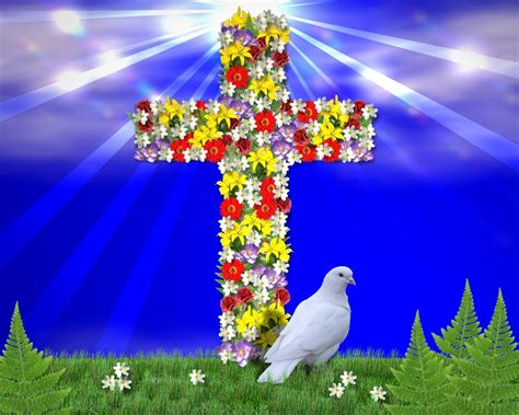 1920x1200 hier bei xshyfc.com können sie kostenlos herunterladen mehr als drei millionen wallpaper sammlungen von den nutzern hochgeladen. 44+ Jesus Wallpaper with Flower on WallpaperSafari
