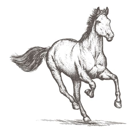 Horse Mammal Animals Free Image On Pixabay