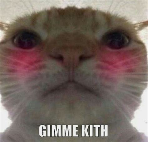Gimme Kith Cute Memes Cute Love Memes Cat Memes