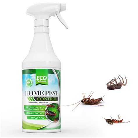 What Is The Best Pest Control Spray For Your Home