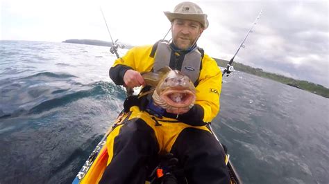 North Sea Cod Fishing May 2016 Youtube