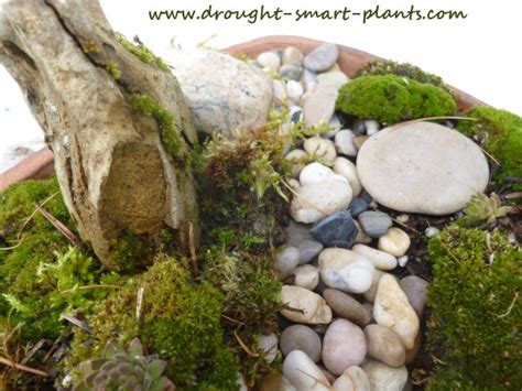 Miniature Moss Garden A Tiny Dry Streambed Less Than A Foot Square