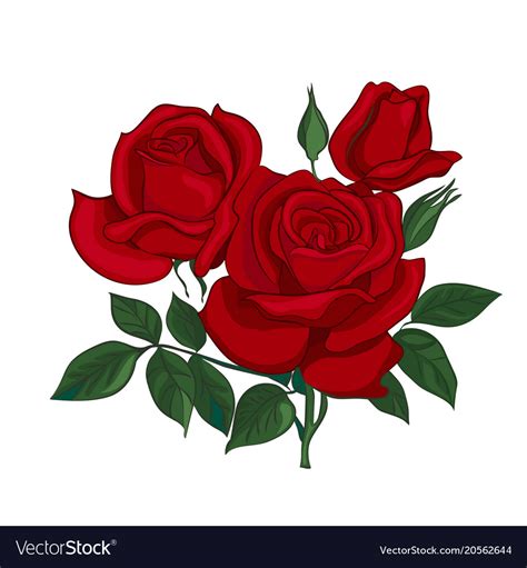 Bouquet Red Roses Royalty Free Vector Image Vectorstock