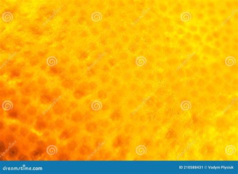 Close Up Photo Of Orange Peel Oranges Ripe Fruit Background Macro