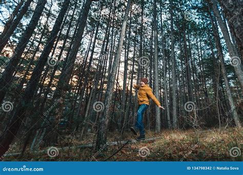 Traveler Yellow Jacket Walks Through The Pine Forest Stock Photo Image Of Hiking Happy