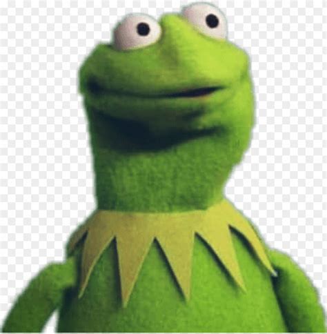 Kermit The Frog Angry Face