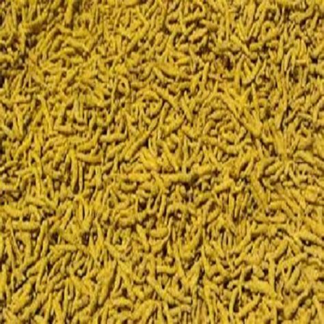 Curcuma Longa Golden Yellow Erode Turmeric Finger At Rs 9000 Quintal In