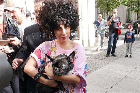 Lady Gaga Ventures Into Pet Products Billboard Billboard
