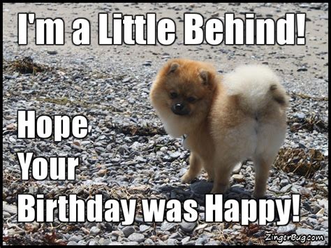 Belated Birthday Glitter Graphics Comments S Memes And Greetings