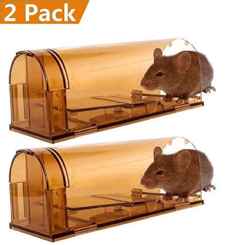 05 Best Mouse Trap Reviews 2022 Pros Cons Types Of Mouse Traps 1