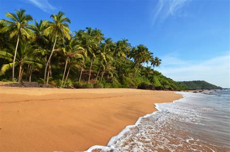 The Best Places To Stay In Goa For All Beaches And All Budgets Global