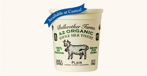 A2 Organic Yogurt Costco Bellwether Farms