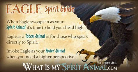 Eagle Symbolism And Meaning Spirit Totem And Power Animal