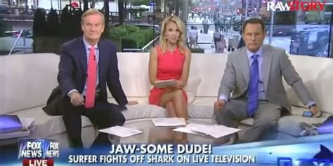 Fox News Brian Kilmeade Says Ocean Should Be Cleared Of Sharks To